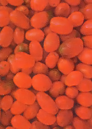 A collection of roma tomatoes.